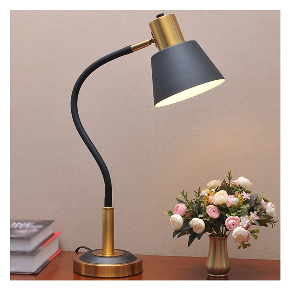 Study Lamp